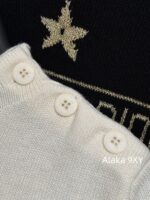 DIOR   24ss Early Autumn New Collection  Butterfly Letter Jacquard Round Neck, Gold Thread Embroidered Logo, Wool Knitted Sweater Available in Black and White - Image 20