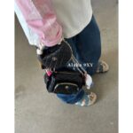 CHANEL's "unpopular non collision bag" 24k autumn and winter new collection  Camera bag/double chain shoulder bag original imported premium lambskin material gift box packaging - Image 4