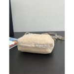 CHANEL  2024k Autumn/Winter New Collection Show Imported 100 Teddy Lamb Hair Metal Chain Gold Coin Mini 22bag Chain Bag - Image 8