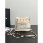 CHANEL  2024k Autumn/Winter New Collection Show Imported 100 Teddy Lamb Hair Metal Chain Gold Coin Mini 22bag Chain Bag - Image 9