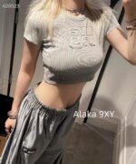 Alexanderwang's new gray series exudes a sense of luxury   Letter logo threedimensional sticker embroidery gradient blending knitting slim fit short Tshirt sweet and spicy, slimming effect - Image 10
