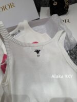 DIOR  2024 Early Autumn New Collection  Classic Adhesive Letter Logo Knitted Bottom Letter Vest for Women. Available in two colors - Image 7