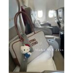 MIUMIU "American Retro Girl Style"  Self retained Zhang Yuanying's 2024 SS fashion collection canvas briefcase  Japanese limited edition canvas denim fabric canvas style - Image 21