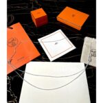 Hermes      Extremely difficult to buy vintage style  pure silver pig nose necklace/long sweater chain - Image 5