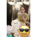 LOUIS VUITTON   2024 SS Early Autumn New Collection  Classic Lucky Grass Printed Logo Yellow Short Jacket for Women. loose coat - Image 12