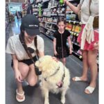 miumiu  Zhang Yuanying's 24ss summer new classic embroidered letter logo baseball cap for women  an unbeatable hat shape and a great face enhancing gadget. Available in multiple colors - Image 16
