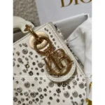 Dior 2025 Limited Edition ⭐️ Silk Satin Embroidered Lady Dior Bag - Crystal Beaded "Socialite Collector's Piece" - Image 12