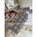 Dior 2025 Early Spring Limited Edition - D-Joy Satin Embroidered Lace Handbag - Grey Pearl Horizontal Tote - Image 11
