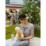 Prada 2025 Summer Essential 🩵 Classic Inverted Triangle Logo Tee - Figure-Hugging Striped Knit Short Sleeve - Image 13