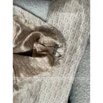 Dior 2025 Early Spring Collection ⭐️ Classic Jacquard Logo Set - Biscuit Color Windbreaker/Vest/Skirt - Image 18