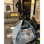 Chanel New Colorway❗️In Stock - 25C Early Spring Runway Collection / Runway Hobo Chain⛓️ Bag & Bucket Tote - Heavyweight Imported Full-Grain Leather - Image 25
