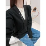 Louis Vuitton 2025 Early Fall/Winter Collection 🖤 V-Neck Wool Badge Button Detail Pullover Sweater - Unisex Oversized Fit - Image 5