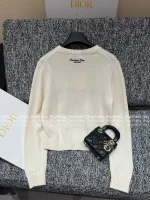 Dior 2025 Early Fall/Winter Collection ⭐️ Round Neck Embroidered Letter Logo Pullover Cashmere/Wool Blend Knit Sweater - Image 13